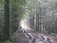 A1160 Strijbeek Hondsdonk Valkenberg 123 Meer GPS wandelingen kunt u vinden op  www.gpswalking.nl